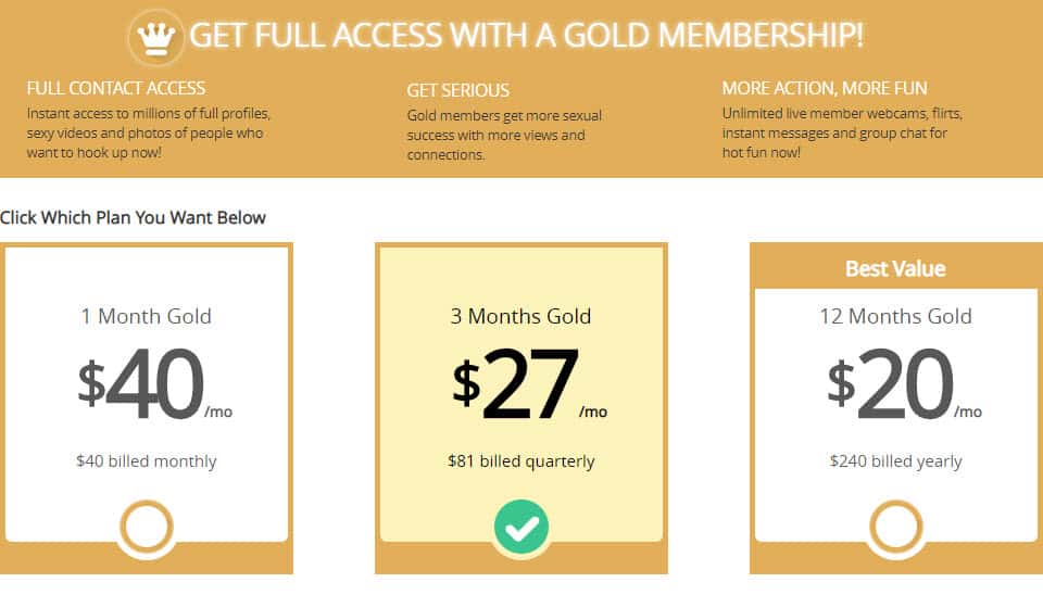 AdultFriendFinder VIP Membership in 2025
