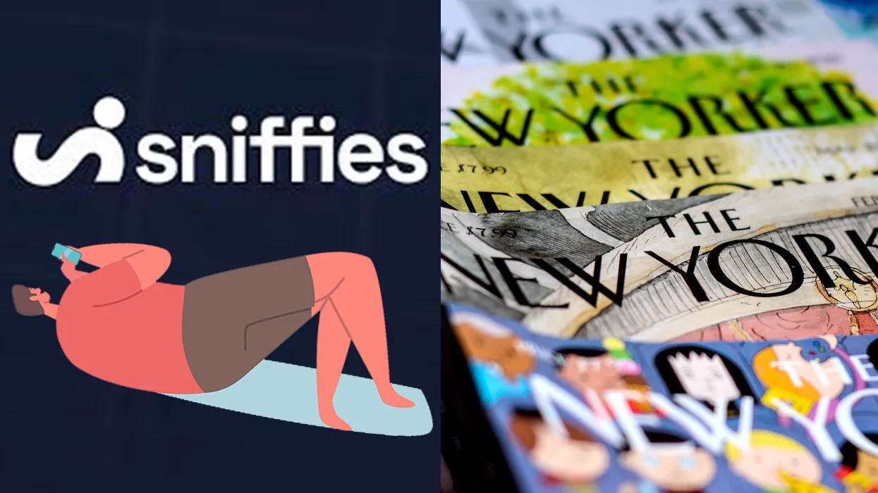 Sniffies Explained