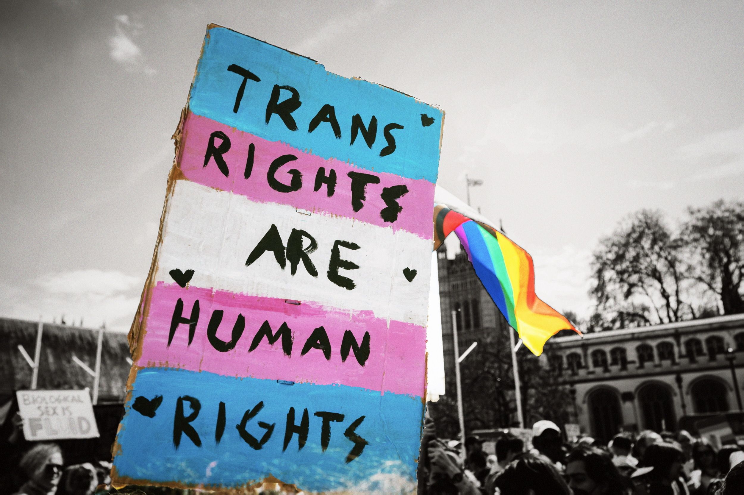 Transgender Dating