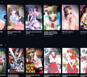 Is Animeidhentai the Future of Hentai Streaming