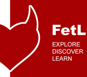 Fetlife Explore Feature 2025