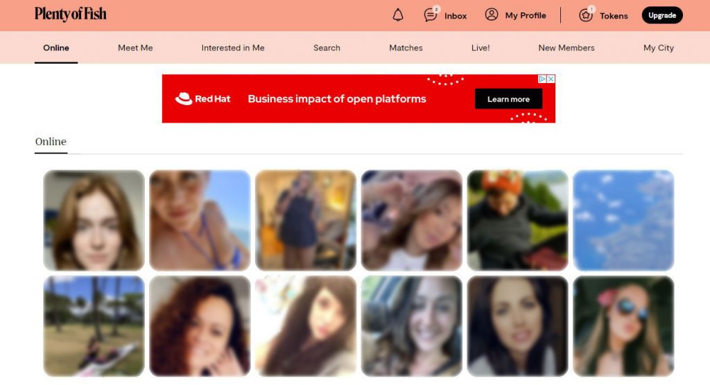 Plenty of Fish (POF) Profile Review: