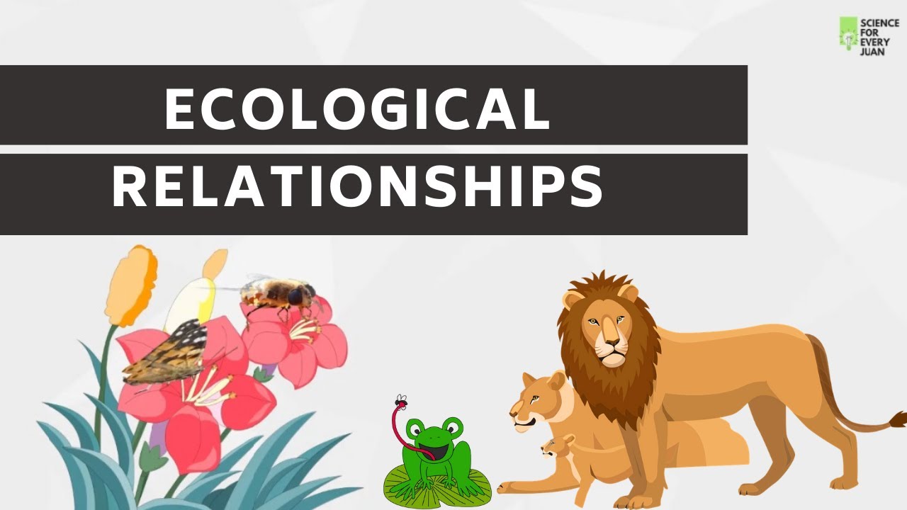 Ecological Relationship