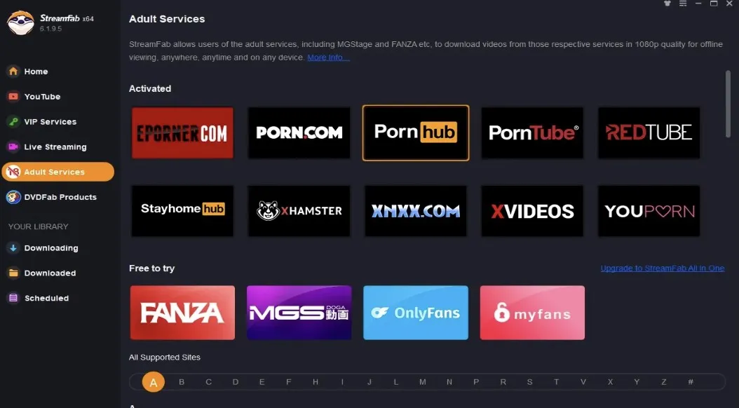 Adult Video Downloader Tools